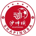 沙坪坝队